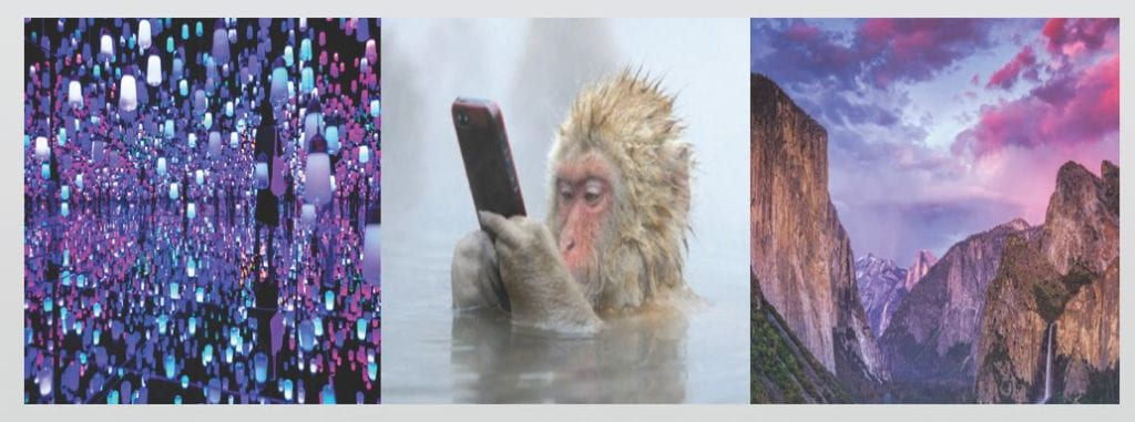 From left to right: computer-generated image of hanging lightbulbs; monkey looking at cell phone; photo of sunset over mountain peaks